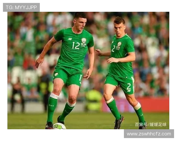 亚美尼亚与芬兰足球赛精彩直播全程回顾与分析