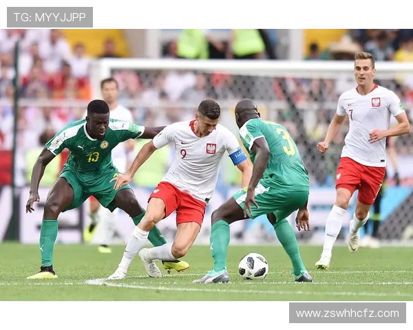 保加利亚与黑山的激烈对决分析及比赛前景展望