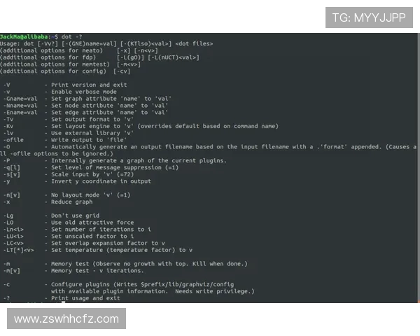 深入探讨VS2019调试特曼的技巧与实用经验分享