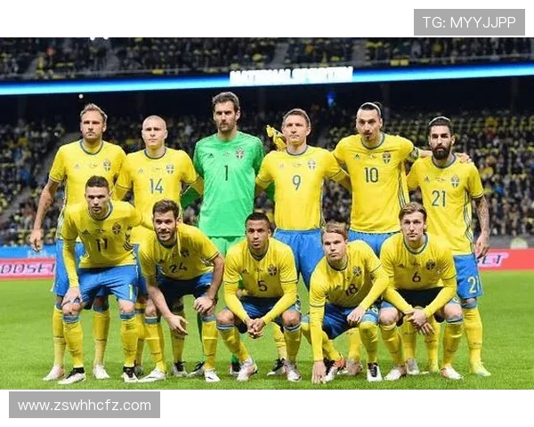 瑞典与丹麦足球对决的比赛地点及相关信息解析